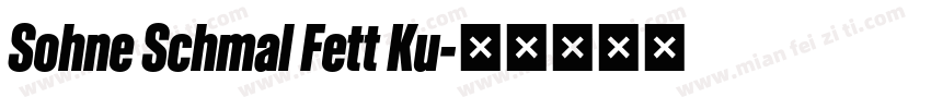 Sohne Schmal Fett Ku字体转换